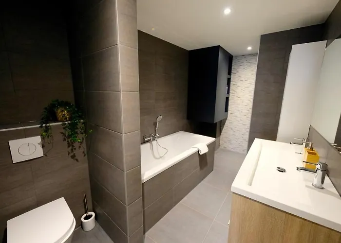 Luxury 60m2 With 20m2 Private Terrace - R65a * Eindhoven